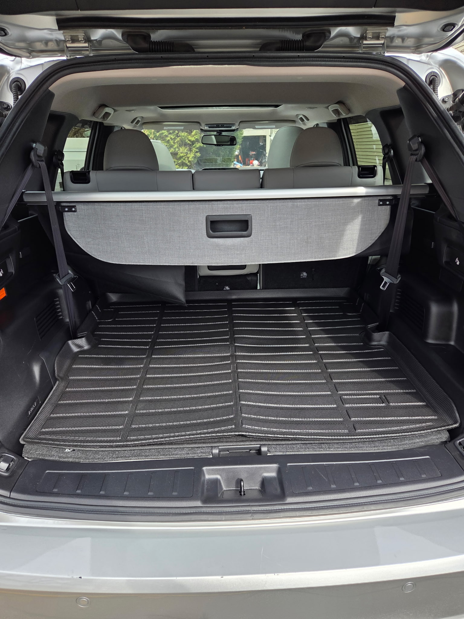 trunk